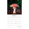 Magic Mushrooms | 2026 12 x 24 Inch (Hanging) Monthly Square Wall Calendar | Plastic-Free